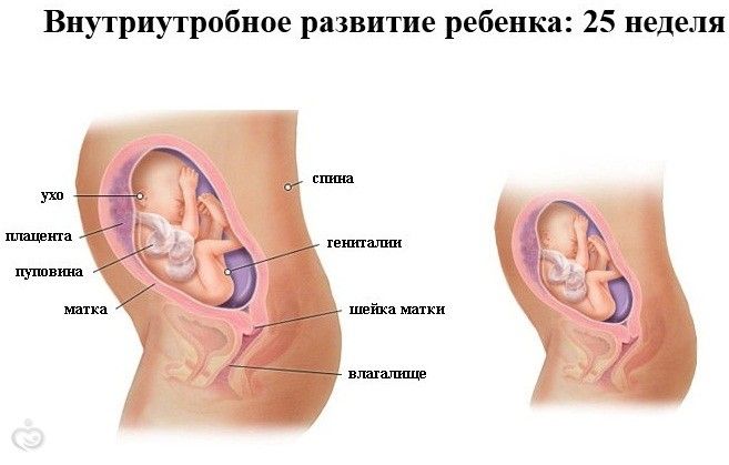 33 неделя беременности кровотечение