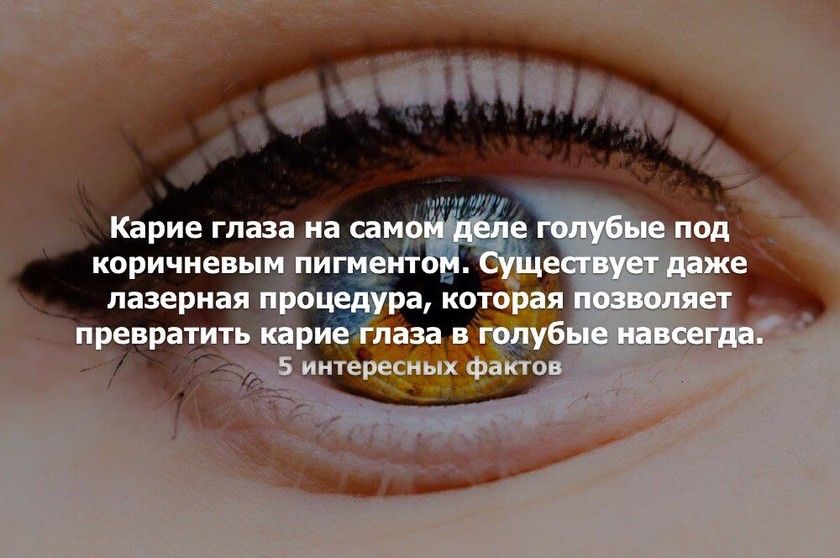 Стих о парне с карими глазами Стих о парне с карими глазами