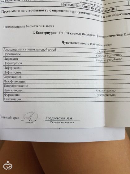 Совет 1: Как собрать мочу для анализа на стерильность Бак посев мочи при беременности: как сдавать, нормы, расшифровка