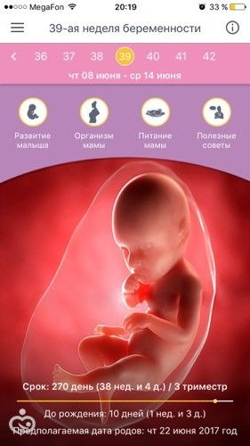 20 неделя беременности что происходит с малышом и мамой