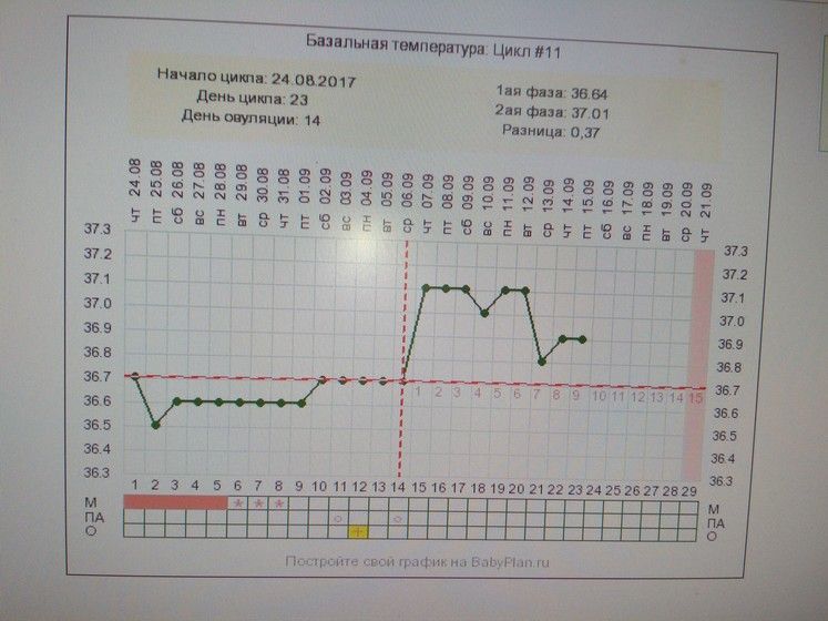Какой график работы должен быть у беременных 1