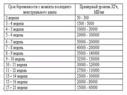 Какой показатель хгч должен быть при беременности на ранних сроках