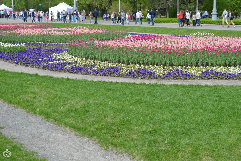 &amp;quot;РетроФест&amp;quot; в Сокольниках, 20.05.2017.