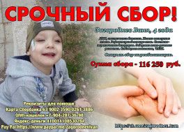 Отчет о сборе за июнь месяц Загороднев Иван, сбор до 9 июля 2017 года Отчет о сборе за июнь месяц Загороднев Иван, сбор до 9 июля 2017 года