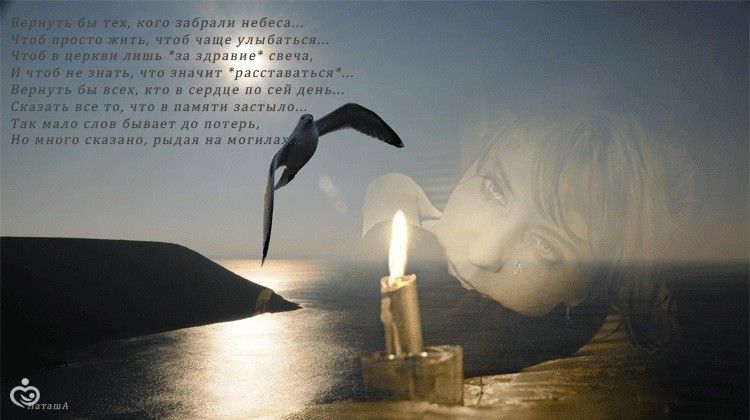 Полгода без тебя...