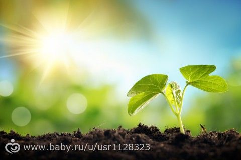 Возвращение к самому себе.
