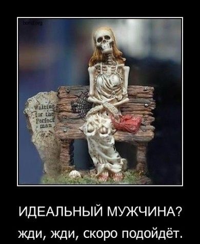 Идеальный мужчина и др.