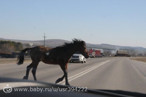 Небольшой отпуск и немного фото...нет все таки много)