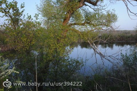 Небольшой отпуск и немного фото...нет все таки много)