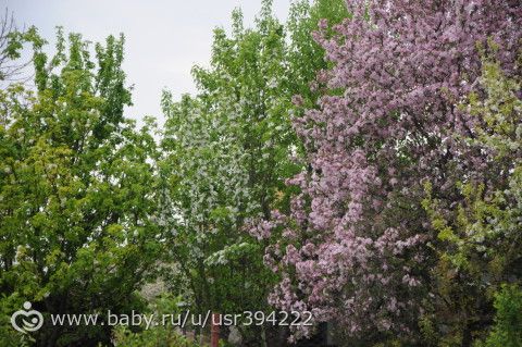 Небольшой отпуск и немного фото...нет все таки много)