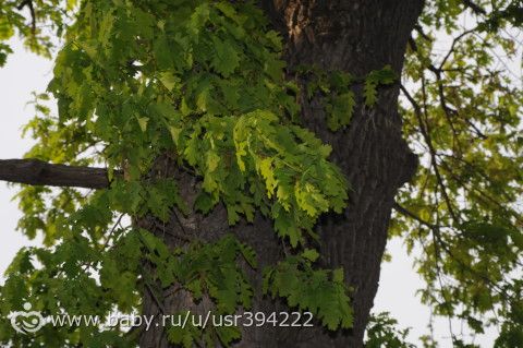 Небольшой отпуск и немного фото...нет все таки много)