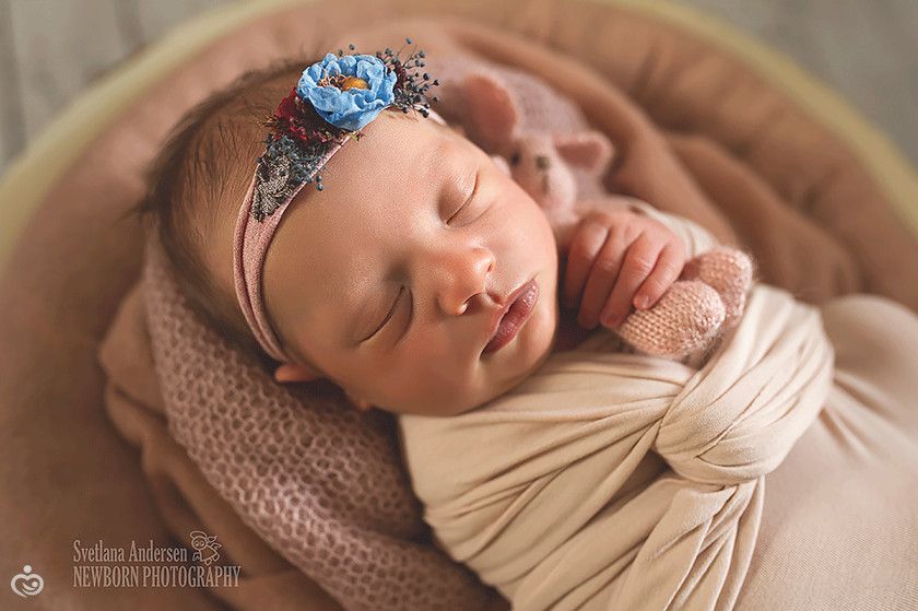 Процесс организации newborn-съемки от А до Я