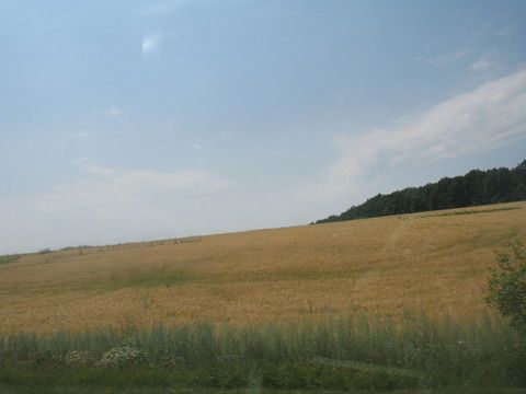 Благовещенская 2017. Ч1. На море машиной с тремя детьми.