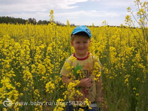 Беларусь - 2017.
