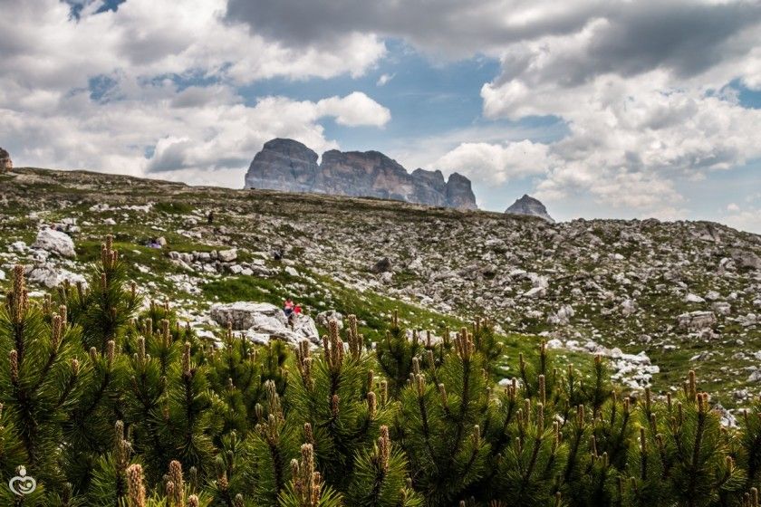 поход в Доломитах! 11 км с детьми, беременной и 70-летней бабушкой))) (фото)