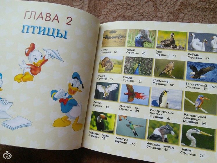 Наши новые энциклопедии