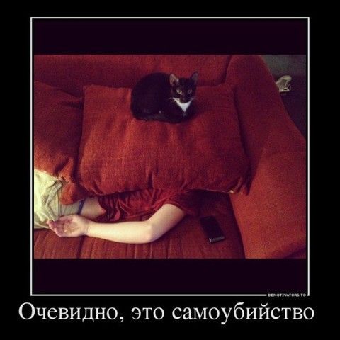 Посмеятся,кому нравиться ставьте смайлик)))))))