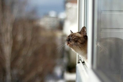 Посмеятся,кому нравиться ставьте смайлик)))))))