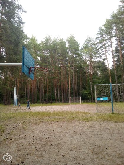 Наше лето)