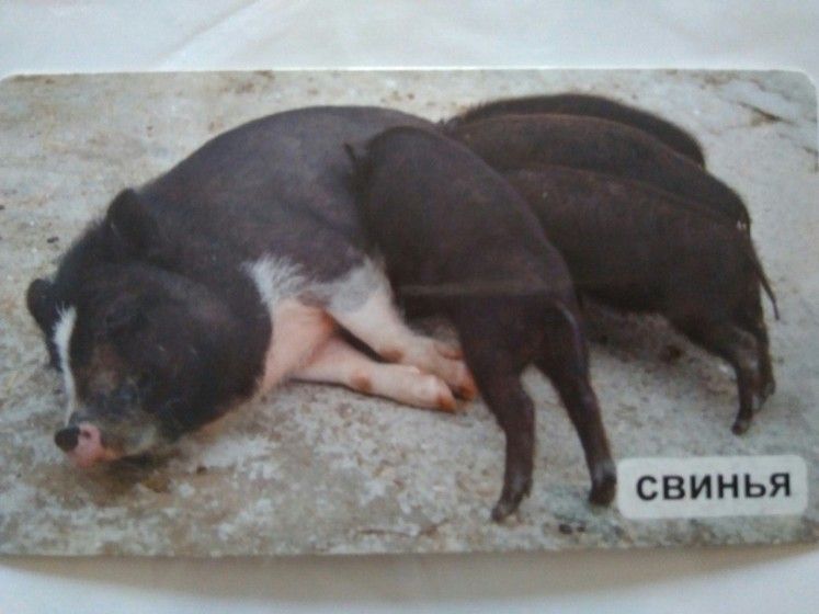 Продолжаем знакомиться с профессиями..