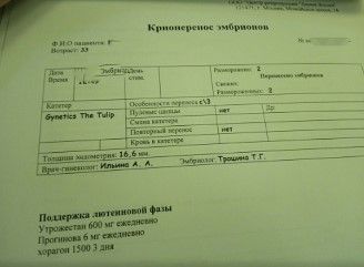 Наша ЭКО-история! Победа))