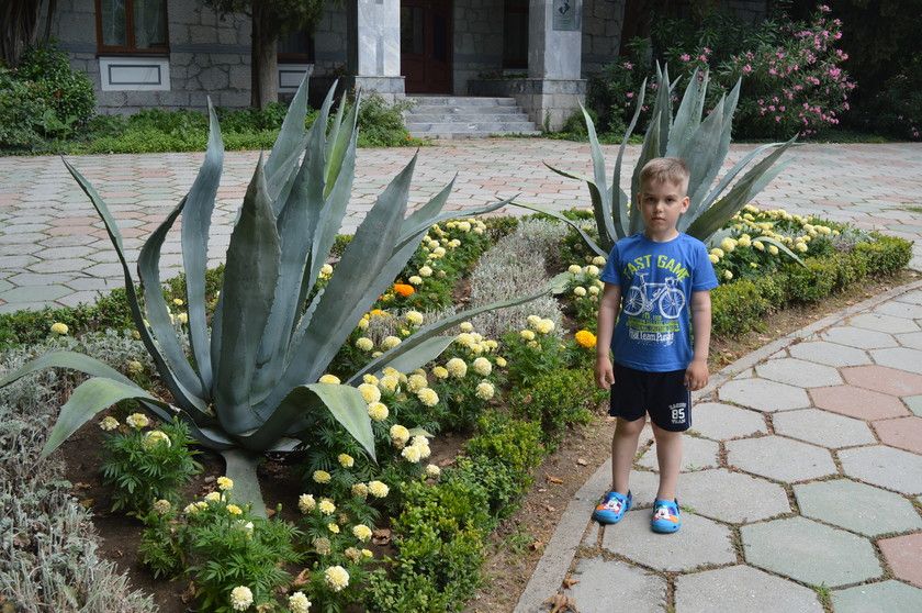 Отпуск в Крыму, июль 2017, часть 3.