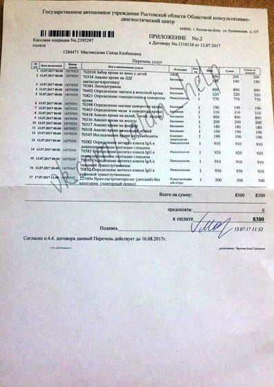 Отчет о расходах Саида Магомедова