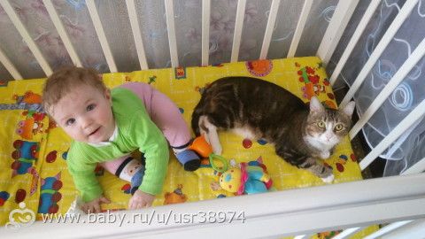 Дети — не смысл жизни, смысл — счастливая семья, в которой растут эти самые дети!