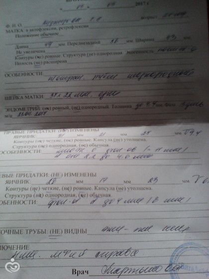 помоги расшифровать УЗИ