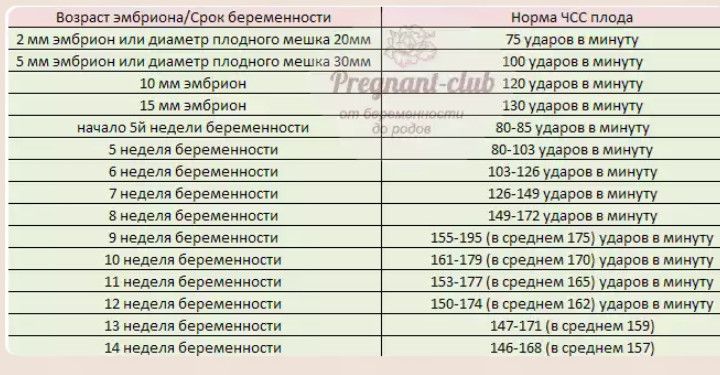 Донецке чсс в 6 недель можете укоротить