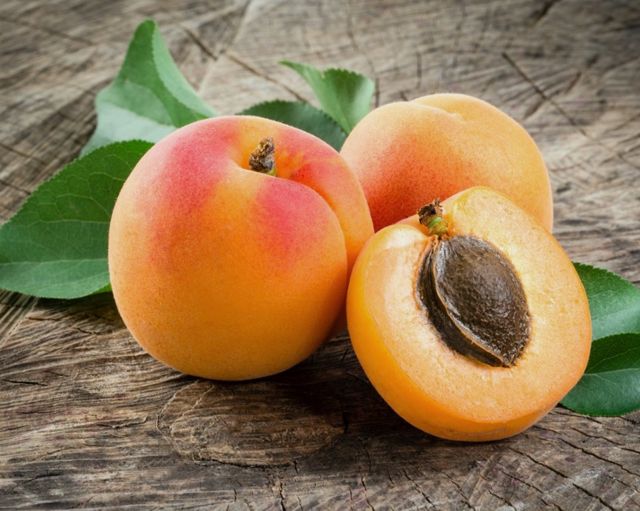 Полезные свойства абрикосов