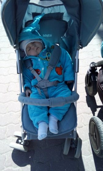 7 месяцев