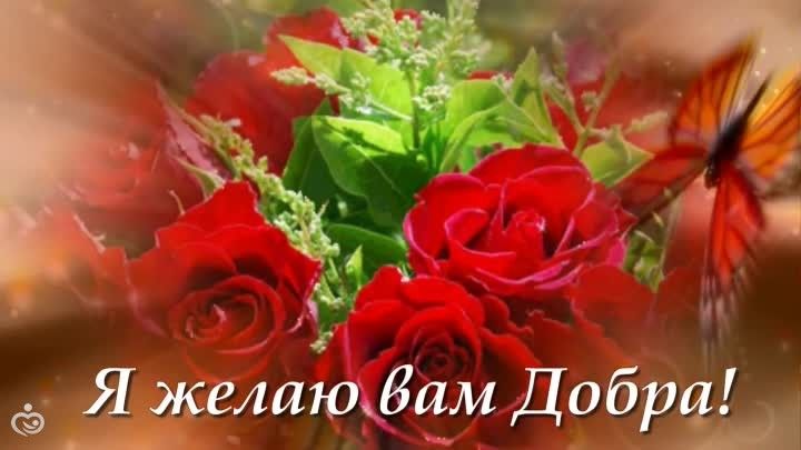 давайте знакомиться. обо мне.