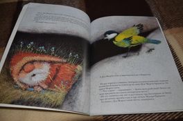 Обзор книг на 6+ Обзор книг на 6+