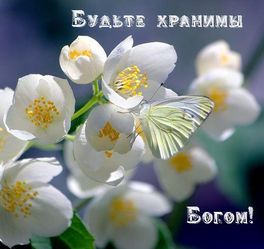 Новый год к нам мчится! Новый год к нам мчится!