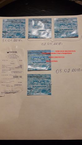 Отчет о прохождении курса дельфинотерапии: Безрукавникова Надежда и Безрукавников Иван. Отчет о прохождении курса дельфинотерапии: Безрукавникова Надежда и Безрукавников Иван.