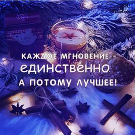 Новый год к нам мчится! Новый год к нам мчится!